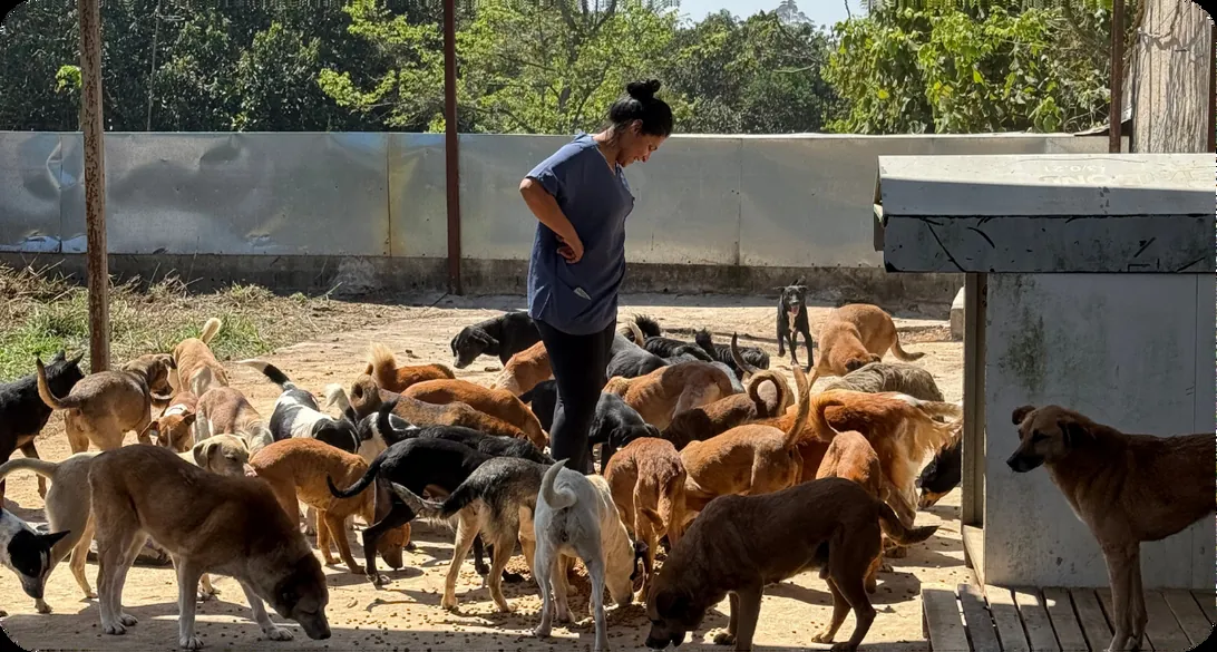 Custos e Doações